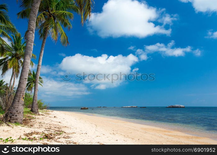 beach and tropical sea