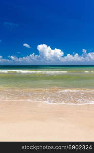 beach and tropical sea