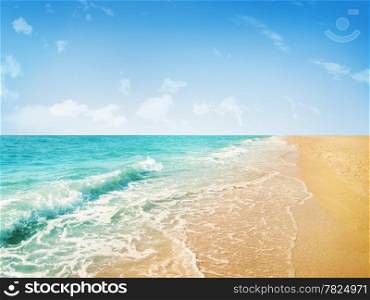 beach and tropical sea
