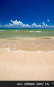 beach and tropical sea