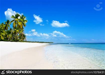 beach and tropical sea. tropical island