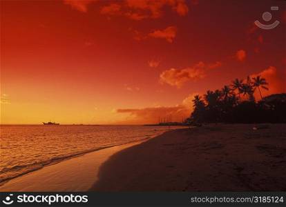 Beach at dusk, Hawaii, USA