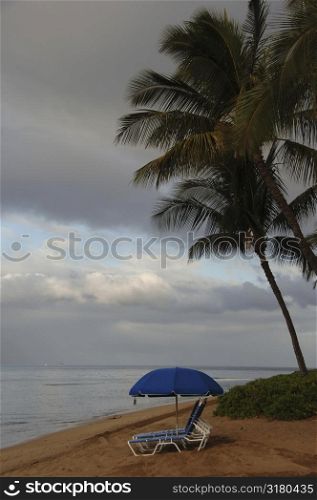 Beach at Maui