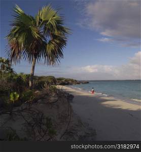 Beach at Parrot Cay