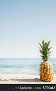 beach background with pineapple copyspace. Resolution and high quality beautiful photo. beach background with pineapple copyspace. High quality beautiful photo concept