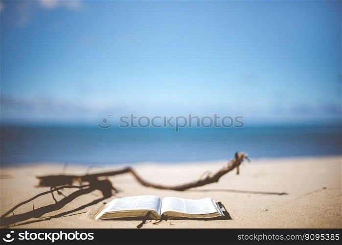 beach book reading vacation
