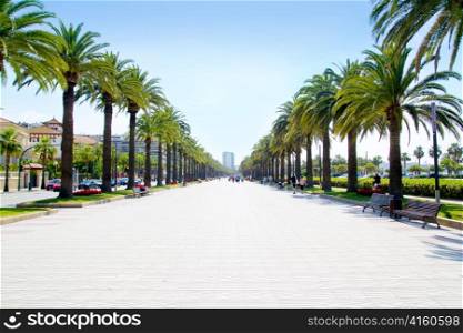 beach boulevard in Salou with palm trees in Tarragona Spain