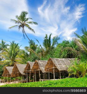 Beach bungalows set against a backdrop of lush tropical vegetation. The concept is travel.