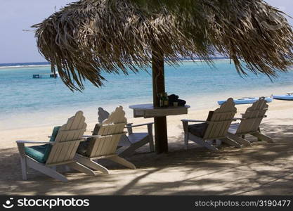 Beach chairs under palapa on the beach, Coral Cay, Dixon Cove, Roatan, Bay Islands, Honduras