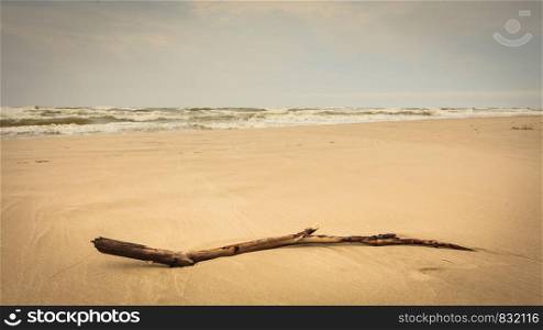 Beach details on sand. Yellow gold sandy beach during calm sunny weather.. Beach details during spring