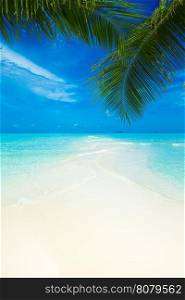 beach in Maldives with few palm trees and blue lagoon&#xA;&#xA;