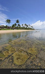 Beach in Porto de Galinhas, Brazil