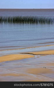 beach in rio de la plata colonia del sacramento uruguay and grass