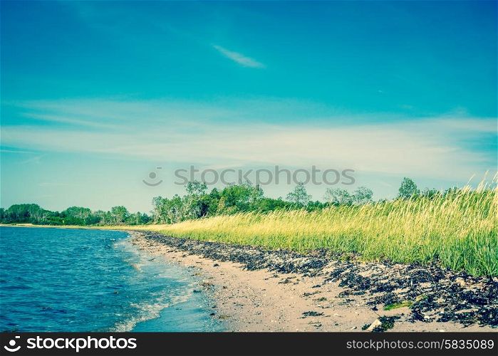 Beach in Scandinavia with green fields and blue sky