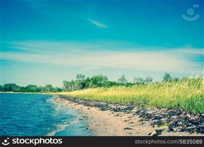 Beach in Scandinavia with green fields and blue sky