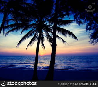 beach in sunset time. palm trees silhouette on sunset tropical beach