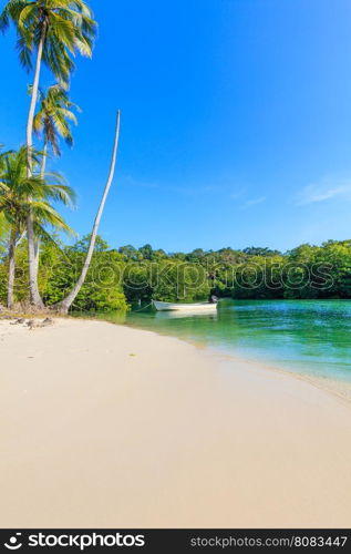 Beach in sunset time. tropical beach. Paradise beach. Tropical Beach Summer Paradise Concept