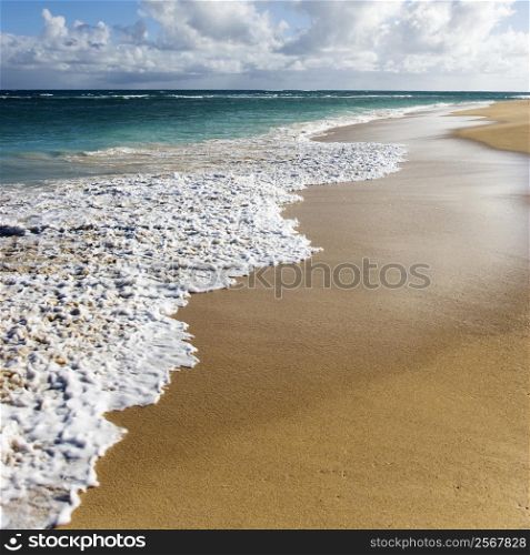 Beach landscape on Maui, Hawaii.