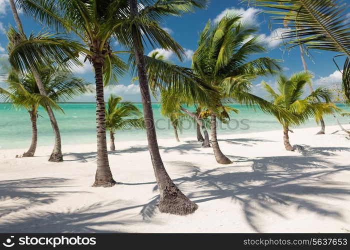 beach, nature, sea, summer and leisure concept - tropical beach with palm trees