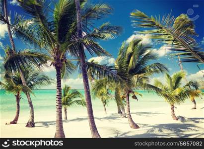 beach, nature, sea, summer and leisure concept - tropical beach with palm trees
