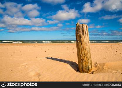 beach of the Baltic Sea in Orzechowo, Poland, with driftwood