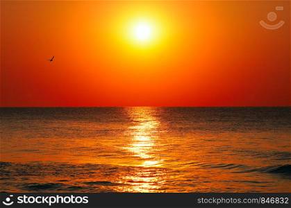 Beach of the ocean and red sunrise.