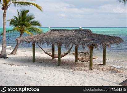 Beach on Little Cayman Island