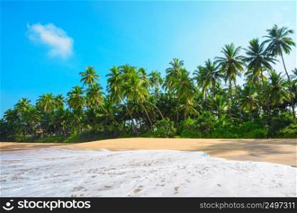 Beach on tropical island with lush green coconut palm trees and clean sand at clear sunny summer day