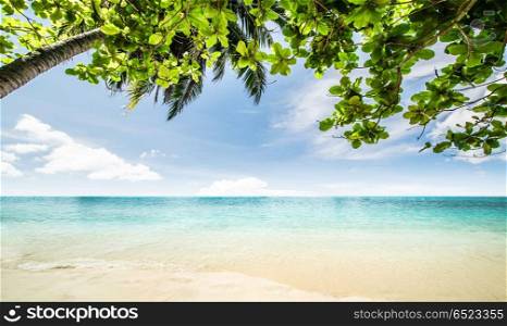 Beach panorama background. Beach panorama. Tropical summer landscape day background. Beach panorama background