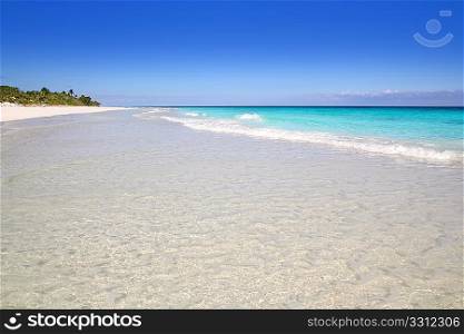 beach paradise white sand in turquoise Tulum