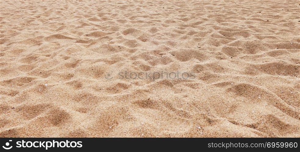 Beach sand as a background. Beach sand