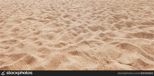 Beach sand as a background. Beach sand