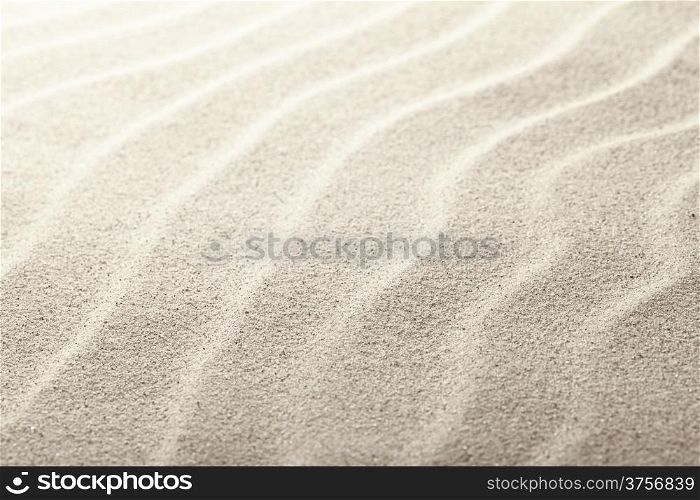 Beach sand as background, close up view