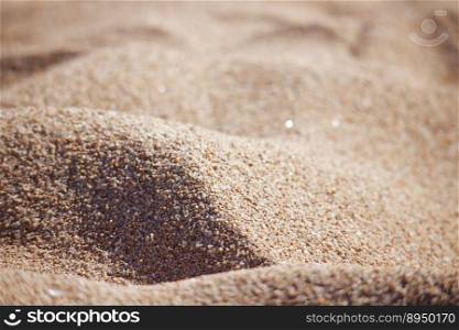 beach sand dunes landscape