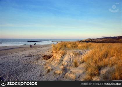 beach sand sand dunes beach grass