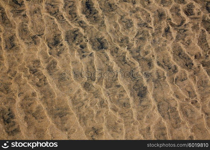 Beach sand texture Fuerteventura at Canary Islands of Spain