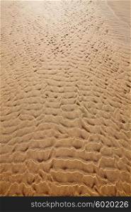 Beach sand texture Fuerteventura at Canary Islands of Spain