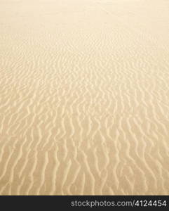 Beach sand waves warm texture pattern background