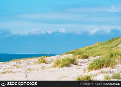 Beach scenery on Sylt island, in North Sea, Germany. Landscape with marram grass dunes under a blue sky