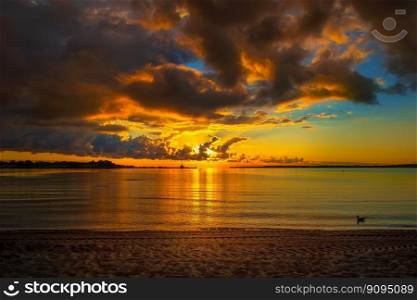 beach sea sunrise sun baltic sea