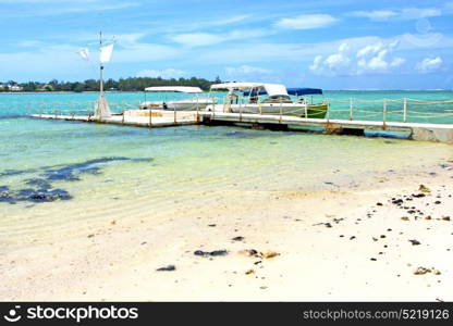 beach seaweed in indian ocean madagascar people sand isle sky and rock