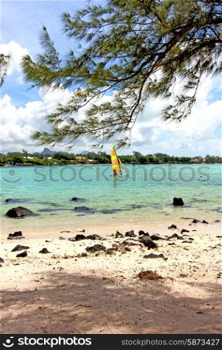 beach seaweed in indian ocean madagascar people sand isle sky and rock