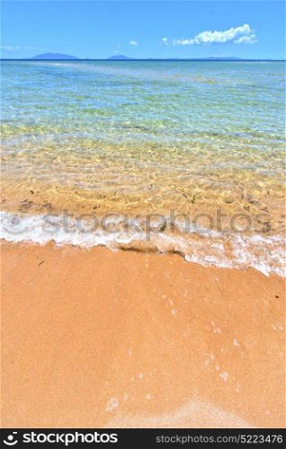 beach seaweed in indian ocean nosy be madagascar sand isle sky and foam