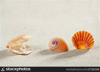 beach summer vacation background shell pearl clam snail tropical symbol