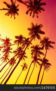 Beach sunset with coconut palm trees silhouettes