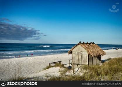 Beach Tiki Hut Bar on the Ocean