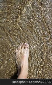 beach tourist feet walking on shore shallow water summer vacation metaphor