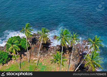Beach tropical ocean with coral, palm trees and lagoon. View from above, from the height of the lighthouse.