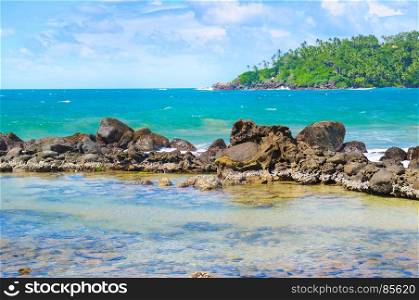 Beach tropical ocean with coral, palm trees and lagoon