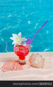 Beach tropical red cocktail on caribbean white sand flower and seashell